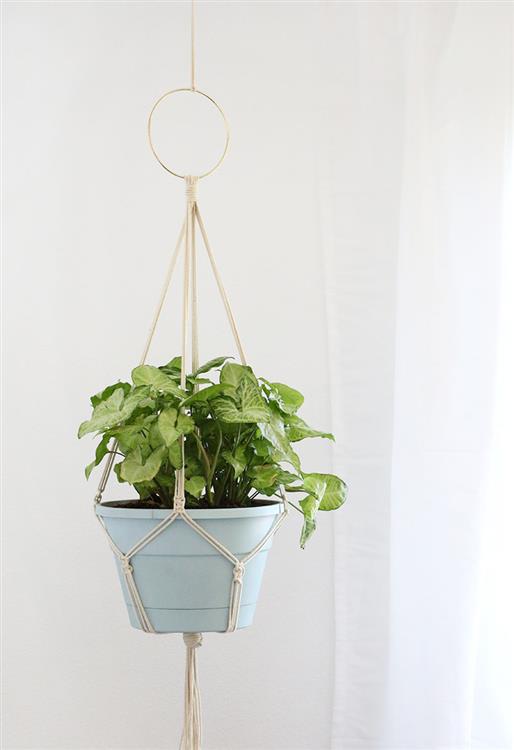 Macrame Plant Hangers